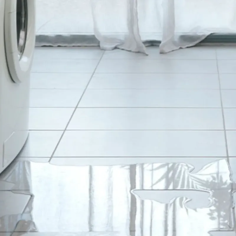 Appliance Leak Cleanup in Lake City, FL