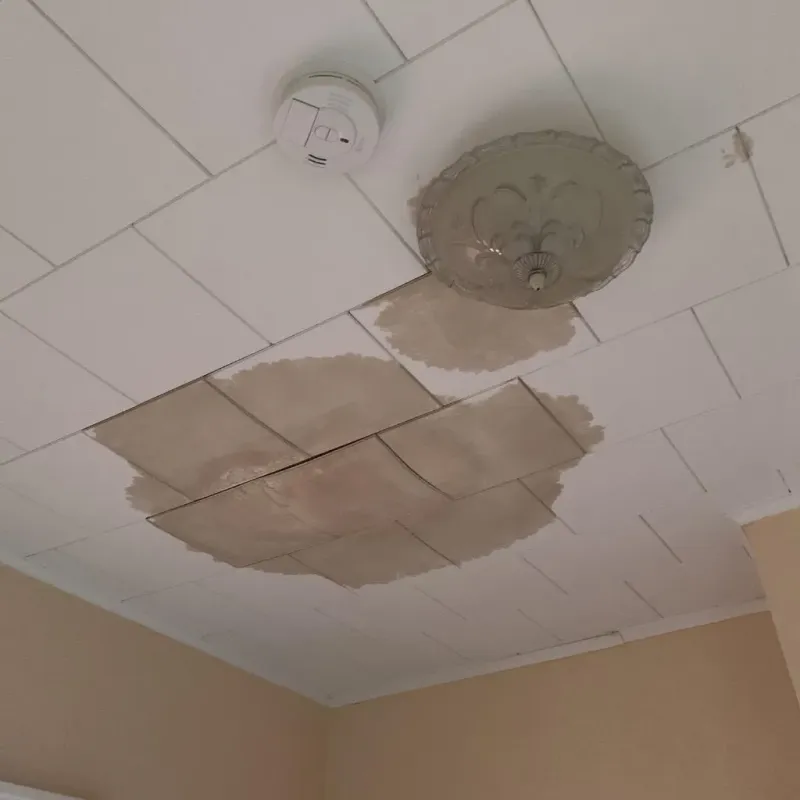 Ceiling Water Damage Repair in Lake City, FL